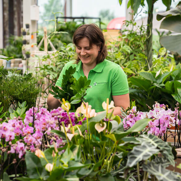 Tuinmaterialen overig