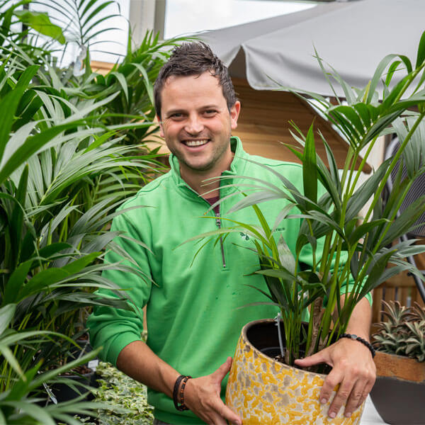 Planten voor binnen