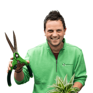 gereedschap