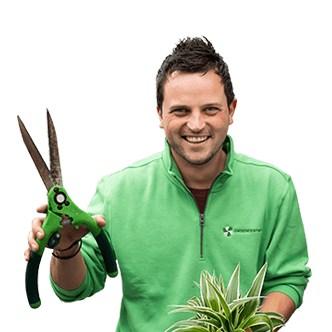 Gereedschap