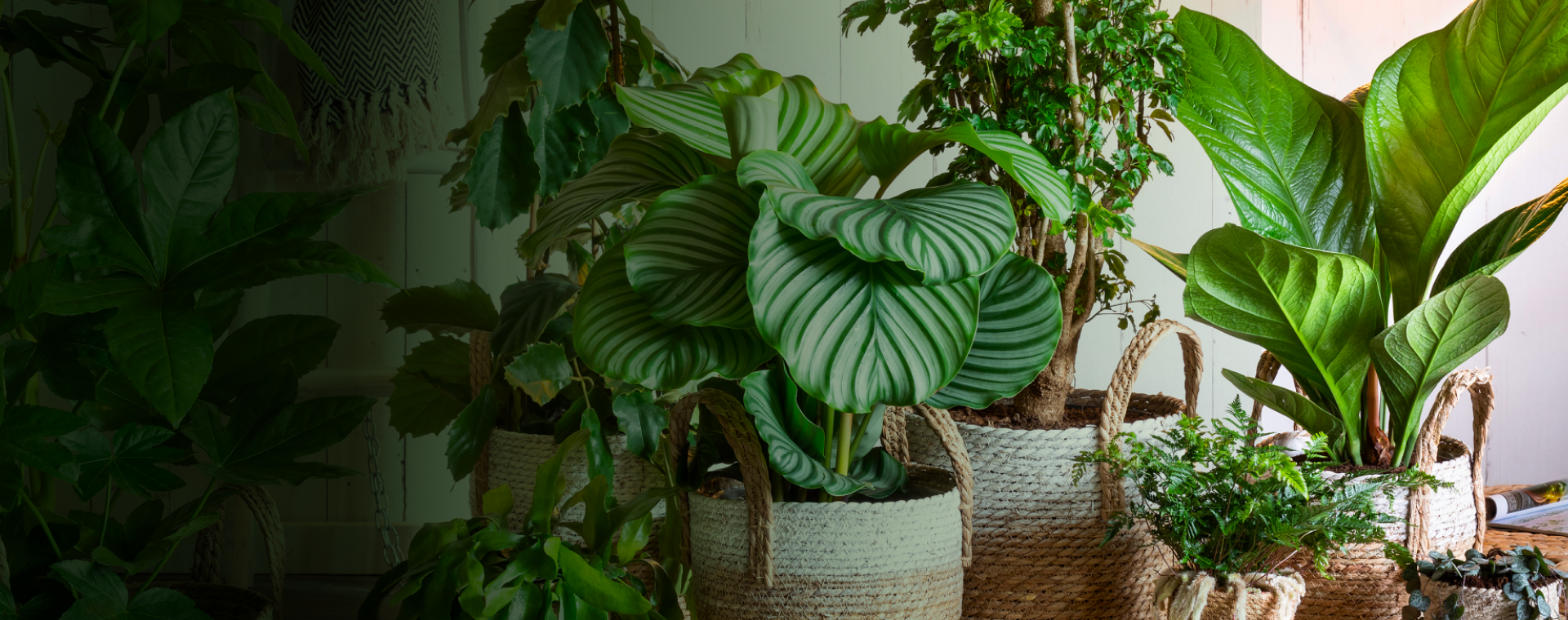 Image Slider