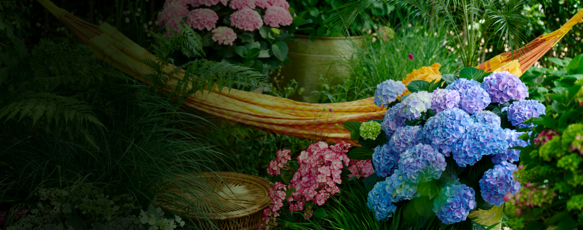 Image Slider