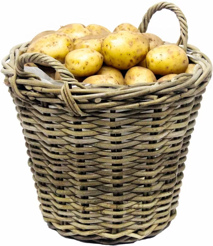 Van-der-Leeden-Aardappelmand-Natuurlijke-Rotantint-D42-x-H32-cm-Met-Hengsels-Opbergen (1)