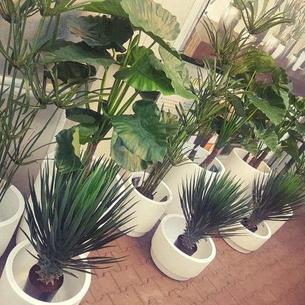 Kantoorbeplanting