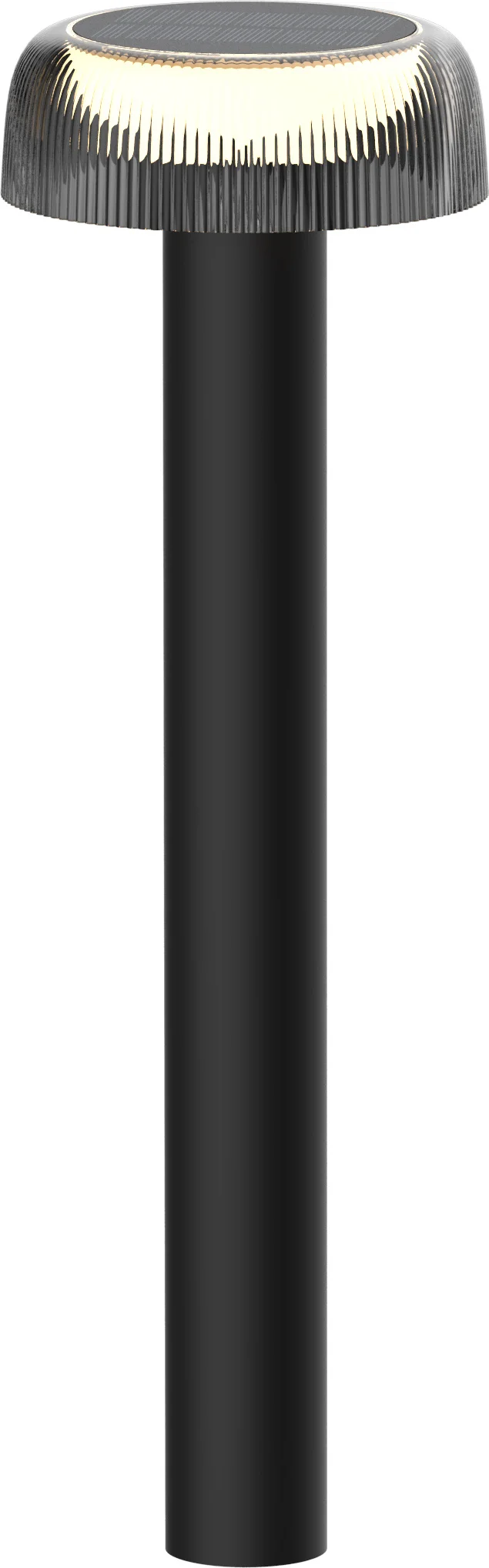 www